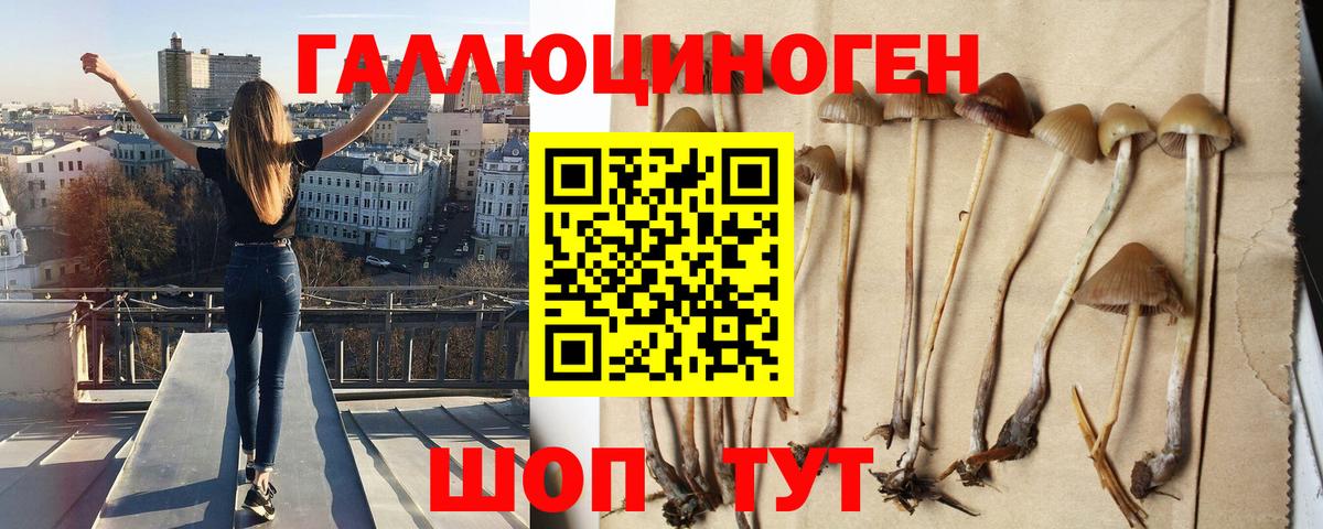 Ликино-Дулёво  Галлюциногенные грибы прущие грибы  Вход с VPN  Галлюциногенные грибы ЛСД 