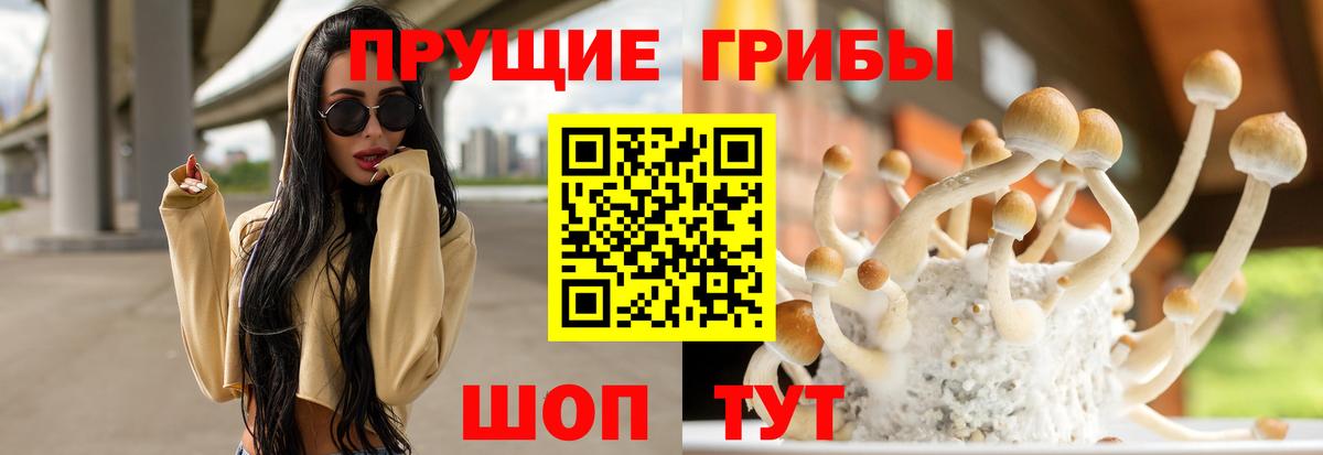Псилоцибиновые грибы мицелий Ликино-Дулёво